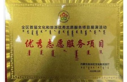 优秀志愿服务项目