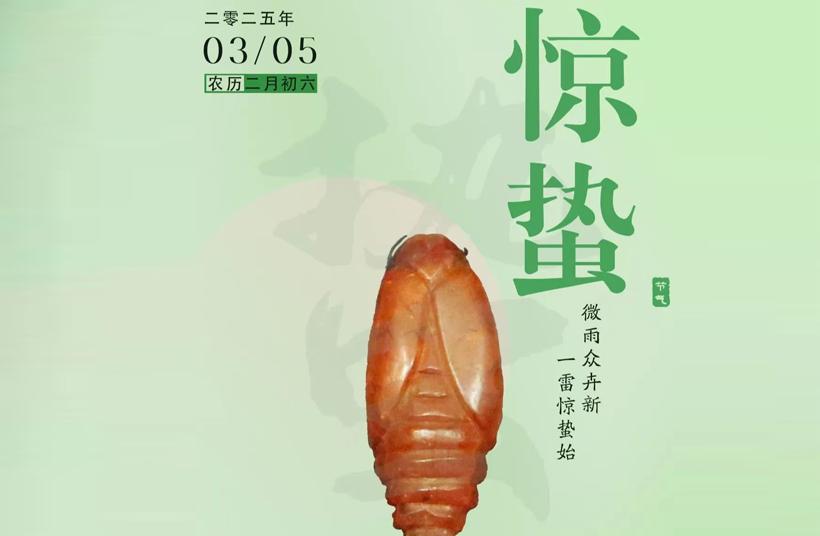 二十四节气丨今日惊蛰